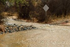 cshcreek-crop2cr.jpg