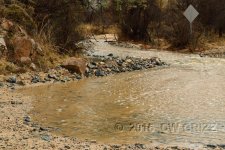 cshcreek-crop3cr.jpg