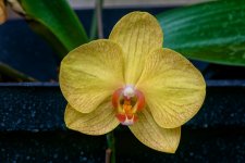 DSC_8115.jpg