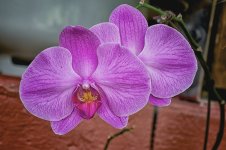 DSC_8116.jpg