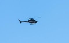 DSC_0490.jpg