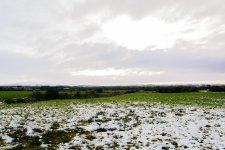 DSC_0342.jpg