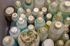 Bottles on Parade - Small.jpg