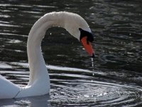 DSCN9021a.jpg
