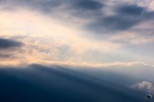 _DSC6621-1.jpg