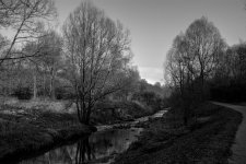 DSC_0530.jpg