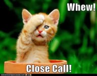 whew-close-call-lolcat (1).jpg