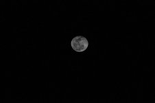 DSC_0071.jpg