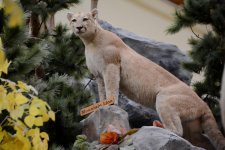 DSC_1225.jpg