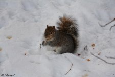 DSC_6110.jpg
