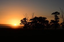 DSC_7026.jpg