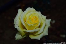 FSC_1052.jpg