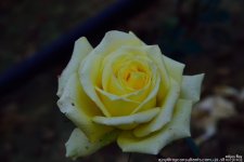 FSC_1086.jpg