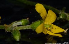 FSC_0965.jpg