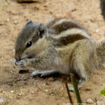 FSC_0772.jpg