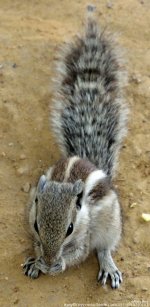 FSC_0779.jpg