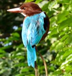FSC_0846.jpg