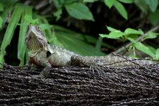 DSC_8198.jpg