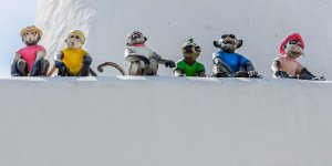 monkeys-3.jpg