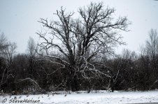 DSC_6365.jpg
