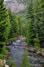 _DSC7951.jpg