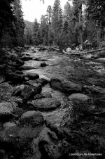 _DSC7941.jpg