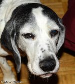 DSC_6285.jpg