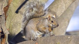 DSC_4070.jpg