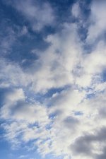 _DSC7269-1.jpg