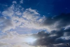 _DSC7297-1.jpg