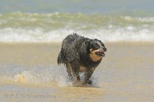 15A_8093_webshot.jpg