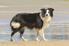 15A_8100_webshot.jpg