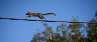 DSC_1521.jpg