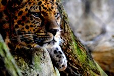 DSC_1577.jpg