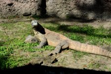 DSC_1632.jpg