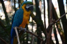 DSC_1875.jpg