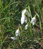 DSC_3029.jpg