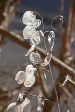 DSC_3047.jpg