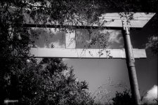 2-1-15 Arboredum   22bw.jpg