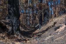 20150117-20150117-DSC_3994.jpg