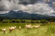 15A_8157_HDR_webshot.jpg