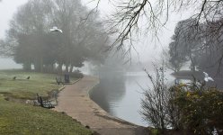 DSC_0798.jpg