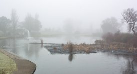 DSC_0772.jpg
