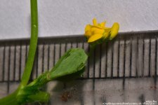 FSC_1268.jpg