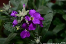 FSC_1381.jpg