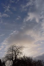 _DSC7305-1.jpg
