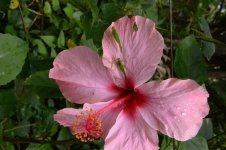 DSC_1320.jpg