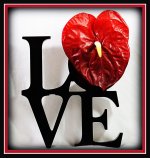 Love.jpg