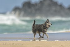 15A_8307_webshot.jpg
