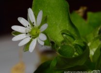 FSC_1441.jpg